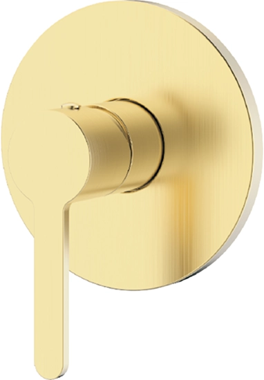 Meissen Attivo Concealed Mixer Satin Brass